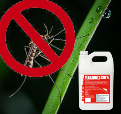 Buy MosquitoCure and Enjoy Your Yard Today